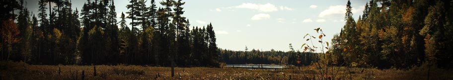 Forêt et lac